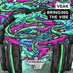 cover: Veak - Bringing The Vibe