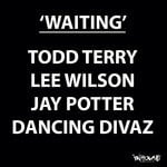 cover: Dancing Divaz|Jay Potter|Lee Wilson|Todd Terry - Waiting