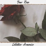 cover: Collettivo Armonico - Your Rose