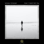 cover: Sylvain Millepied - What I Didn't Tell You