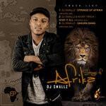 cover: Dj Smallz - Strings Of Afrika