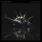 cover: Culture Shock - Discotheque