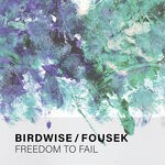 cover: Birdwise|Fousek - Freedom To Fail