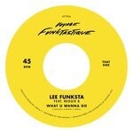 cover: Lee Funksta - What U Wanna Do/The Formula