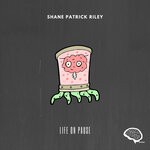 cover: Shane Patrick Riley - Life On Pause