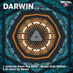 cover: Darwin - Ardcore From The Start