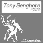 cover: Tony Senghore - Whaddup