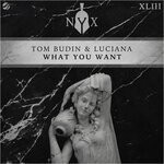 cover: Tom Budin|Luciana - What You Want