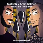 cover: Amin Salmee|Matrick - Never Be The Same