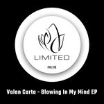 cover: Valen Carta - Blowing In My Mind EP