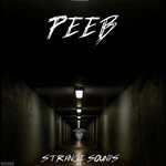 cover: Peeb - Strange Sounds