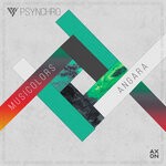 cover: Psynchro - Musicolors/Angara