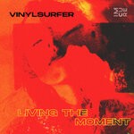 cover: Vinylsurfer - Living The Moment