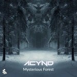 cover: Acynd - Mysterious Forest