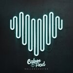 cover: Calum Foad - Rollercoaster (Charlie Lane Remix)