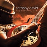 cover: Anthony David - The Powerful Now