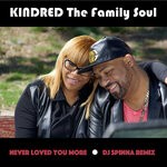 cover: Kindred The Family Soul - Never Loved You More (DJ Spinna Remix)