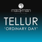 cover: Tellur - Ordinary Day