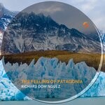 cover: Richard Dominguez - The Feeling Of Patagonia