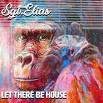 cover: Sgt.elias - Let There Be House