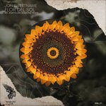 cover: Jon Sweetname - Flor Del Sol