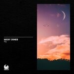 cover: Nicky Jones - Fly