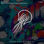 cover: R3 Bass - Graffiti Riddim (Dsliver Remix)