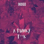 cover: Indigo - A Funky Fuck (Original Mix)