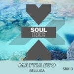 cover: Mattia Evo - Belluga