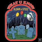 cover: Klown|Steez - What U Know