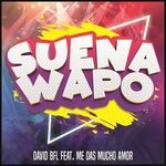 cover: Me Das Mucho Amor - Suena Wapo (Hardbass Mix)