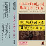 cover: The Diabolical Liberties - Dub Protection & The Sportswear Mystics