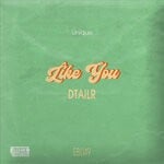 cover: Dtailr - Like You