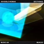 cover: Invisible Woman - Sectioned