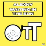 cover: Alexny - Waiting In The Sun