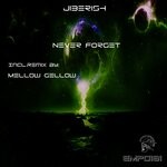 cover: Jiberish - Never Forget