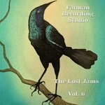 cover: Fatman Recording Studio - The Lost Jams Vol 6