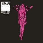 cover: Mehari - Fame (Luciano Remix)