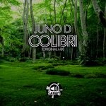 cover: Juno D - Colibri