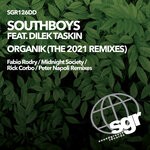 cover: Dilek Taskin - Organik (The 2021 Remixes)