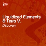 cover: Liquidized Elements|Terra V. - Discovery