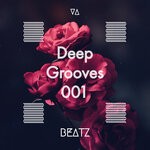 cover: Various - Deep Grooves 001