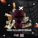 cover: Dimitri Serrano|Freaky Djs - What You Want