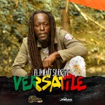 cover: Eliment Suprize - Versatile