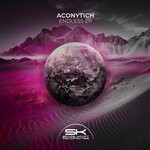 cover: Aconytich - Endless EP