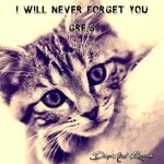 cover: Gres - I Will Never Forget You