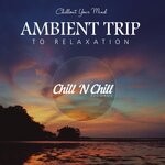 cover: Various|Chill N Chill - Ambient Trip To Relaxation: Chillout Your Mind