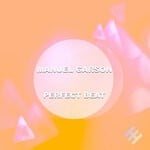 cover: Manuel Garson - Perfect Beat