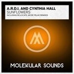 cover: Ardi|Cynthia Hall - Sunflowers