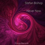 cover: Stefan Bishop - Never Now